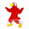 Cute Marty Macaw Mascot Costume