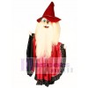 Merlin Wizard Mascot Costume