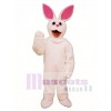 Cute Easter Bunny Mascot Costume