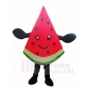 Watermelon Slice Mascot Costumes Fruit 