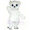 White Polar Bear Mascot Costumes Animal 