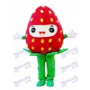 Fresh Strawberry Mascot Costume Fruit 