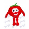 Bob the Tomato Mascot Costume from VeggieTales