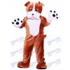 Dog Bulldog Mascot Costume