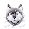 Gray Wolf Mascot Head Only