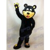 Brown Estevan Bruins Bear Custom Ice Hockey Mascot Costume