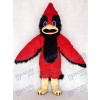 Cute Big Red Bird Mascot Costume