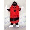 Black & Red Car Wash Finish Line Mascot Costume