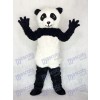 Panda Mascot Adult Costume Animal 