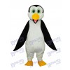 Dingding Penguin mascot Adult costume