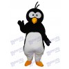 Round Head Penguin Mascot Adult Costume