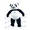 Cute Giant Panda Mascot Adult Costume