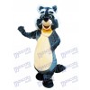 Rocky Raccoon Character Mascot Costume Cartoon