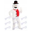 Snowman Mascot Costume