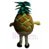Pineapple mascot costume