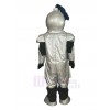 Knight mascot costume