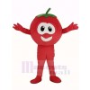 VeggieTales Character Tomato Bob Mascot Costume Cartoon