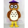 Brown Owl with Purple Cap Mascot Costume College