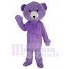 Teddy Bear mascot costume