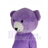 Teddy Bear mascot costume