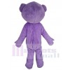 Teddy Bear mascot costume