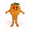 Orange Fruit Mascot Costume