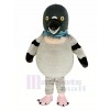 Cute Pigeon Bird Mascot Costume Animal