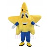 Star mascot costume