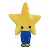 Star mascot costume