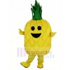 Pineapple Fruit Mascot Costume Cartoon	