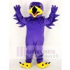 Purple Night Hawk Mascot Costume School