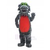 Dragon mascot costume