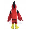 Eagle Bird mascot costume