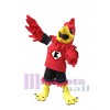 Eagle mascot costume