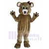 Bear mascot costume