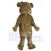 Bear mascot costume