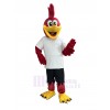 Roadrunner Bird mascot costume