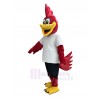 Roadrunner Bird mascot costume