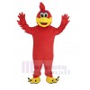 Realistic Red Roadrunner Bird Mascot Costume College