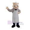 Pig mascot costume