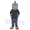 Shark mascot costume