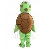 Turtle mascot costume