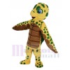 Turtle mascot costume