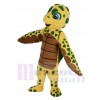 Turtle mascot costume