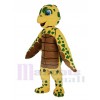 Turtle mascot costume