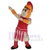 Knight mascot costume