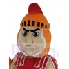 Knight mascot costume