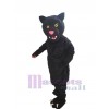 Panther mascot costume