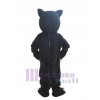 Panther mascot costume