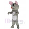 Mouse mascot costume